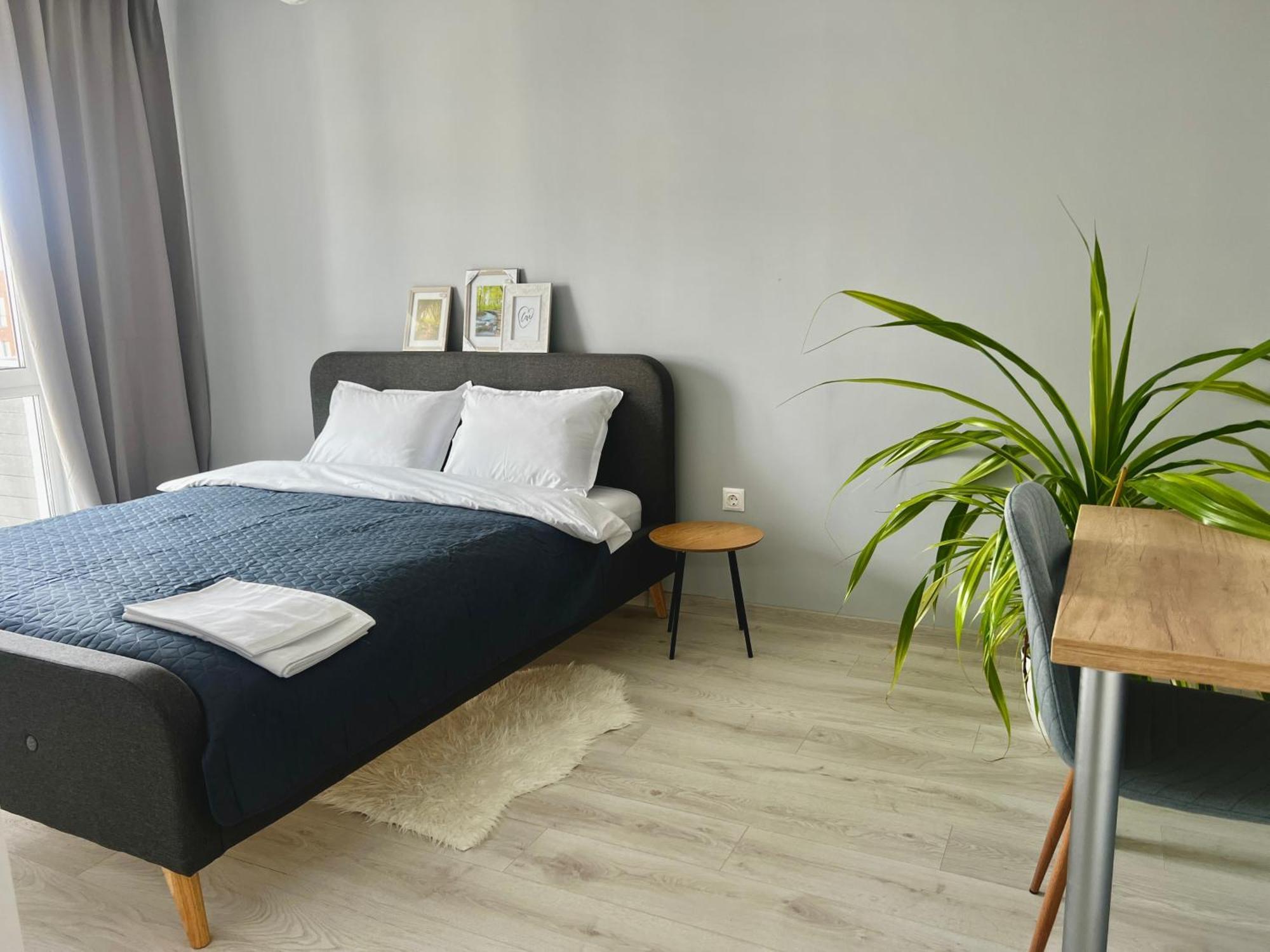 Blue Boho Studios And Apartments Брашов Екстер'єр фото
